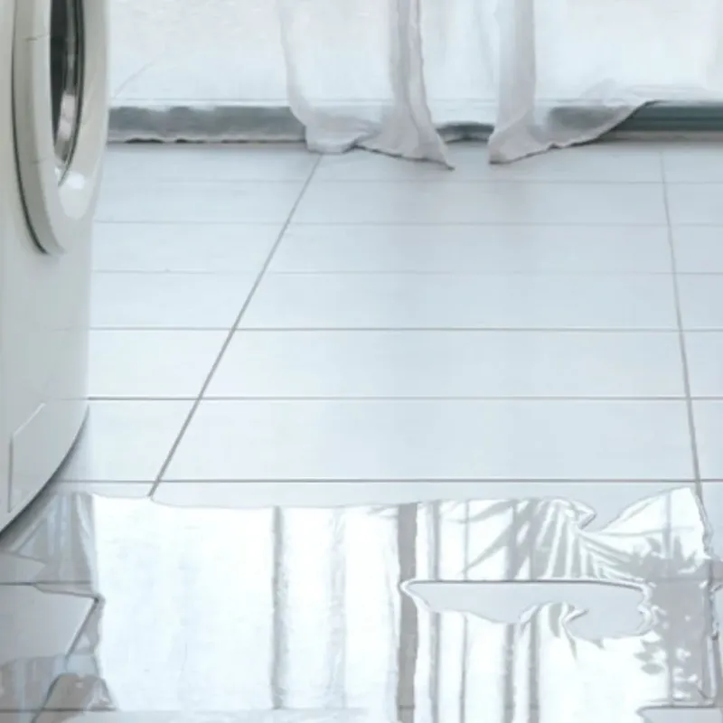 Appliance Leak Cleanup in La Marque, TX