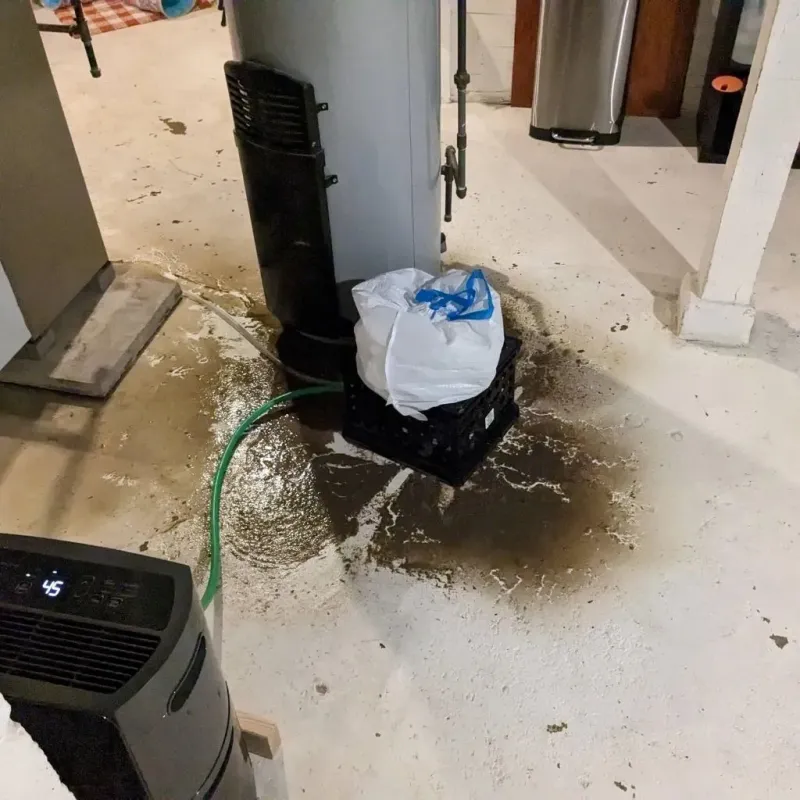 Sewage Backup Cleanup Service in La Marque, TX